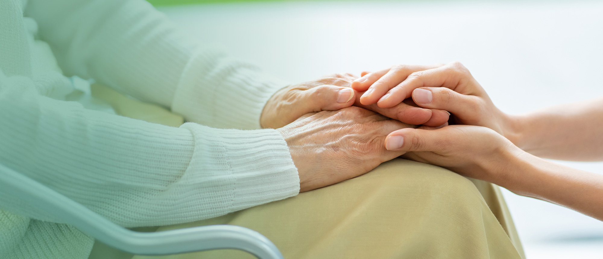 株式会社きゃんぱす